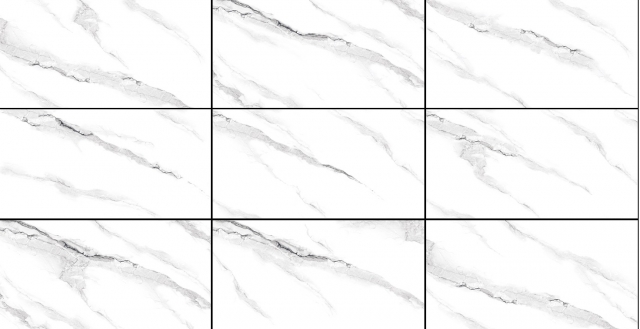 J12P6003 Folium Bambusae